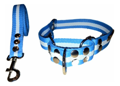 Correa Y Collar De Semi Ahorque Tipo Martingale - Envios-