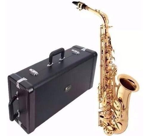 Sax Alto Eagle Sa 501 Laqueado Estojo Saxofone Em Mib