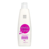 Shampoo Texturizante Semillas De Lino S - mL a $35