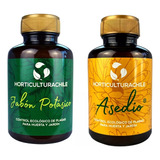 Potasa Con Aceite De Neem + Jabón Potásico Pack Insecticida 