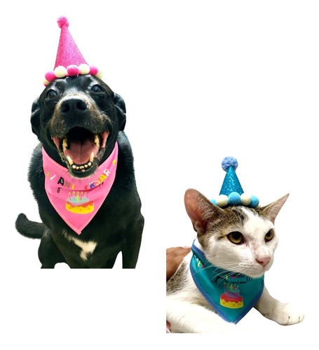 Kit Festa Aniversário Pet Cachorro Gato - Bandana E Chapéu