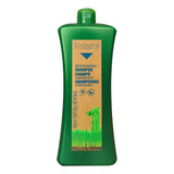 Shampoo Profesional Cabello Grasoso Unisex 1 Litro