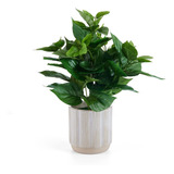 Pothos Ivy En Maceta Para Baño Farmhouse Faux Greenery...