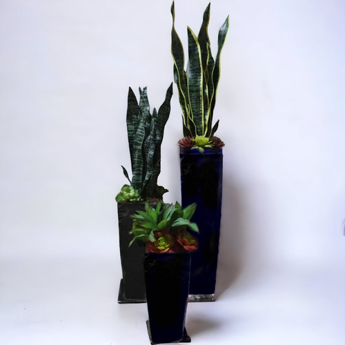 Paquete De Plantas Artificiales Sansevieria Con Suculentas 