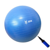 Bola Yoga Suiça Pilates Abdominal Gym Ball 55cm Bomba Grátis Cor Azul