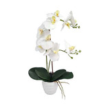 Orquidea Artificial Rama Grande - Desillas