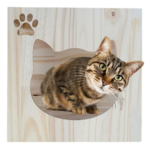 Brinquedo Para Gato Playground Nicho Casinha Toca Promoção 