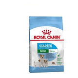 Alimento Perros Royal Canin Mini Starter Cachorros Madre 3kg