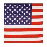 Pañuelo Bandana 100% Algodon Bandera Eeuu Usa Estados Unidos Importada Premium