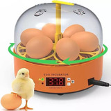 Mini Chocadeira Ovos Galinha Pato Semi Automática Incubadora