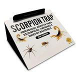 Armadilha Adesiva Para Escorpião Aranha Barata Scorpion Trap