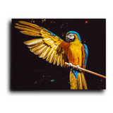 Cuadro Decorativo Canvas Guacamaya Cotorro Alas Selva 50*60