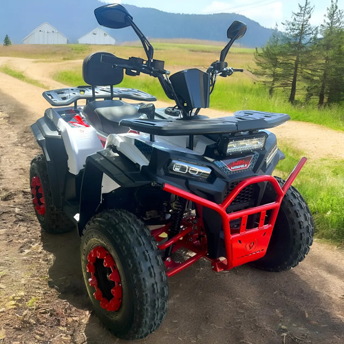Cuatrimoto Winmex Mh200 Atv200cc Todoterreno | Envío gratis