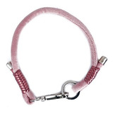 Collar Para Gato O Perro Pequeño Liso - Petsmasters