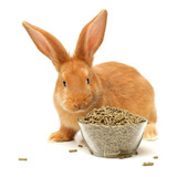 Alimento Para Conejo Hámster Cuyos  Y Otras Mascotas 5 Kg