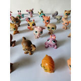 Littlest Pet Shop Colección Gatito Perro Mascota Juguete 