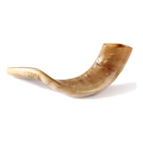 Shofar Tradicional De Israel, Instrumento Musical Natural Ju