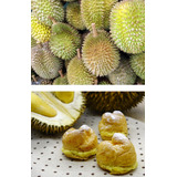 Durian Dulce Exótico No Semilla Raro Envío Gratis 