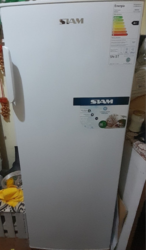 Freezer Vertical Siam 154lt