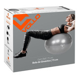 Bola Suiça Gym  Ball 75 Cm Cinza C/ Bomba - Vollo- Fisiofit 