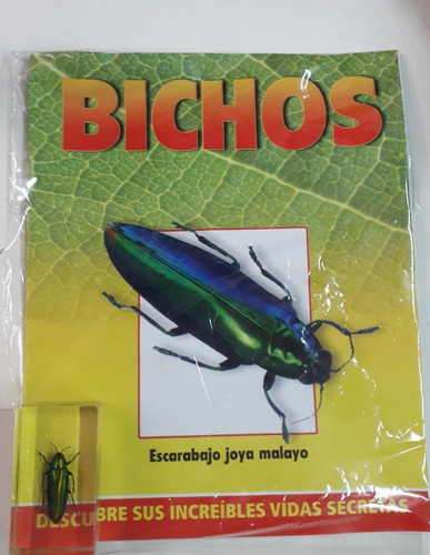 Bichos Escarabajo Joya Malayo + Fascículo