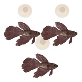 Popetpop Betta - Estatua De Pecera, 3 Piezas De Peces Artifi