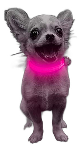 Collar Para Perro Domi Led, Recargable Por Usb, Collar Para 