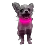 Collar Para Perro Domi Led, Recargable Por Usb, Collar Para 