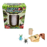  Excavación Fosil De Insectos Bichos Kit Completo 