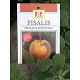 Sementes De Fisális - Physalis Peruviana - 100 Sementes