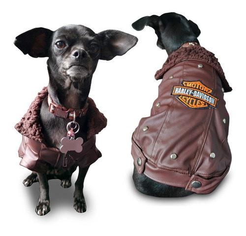 Chamarra Para Perro - Harley Davidson Color Café 