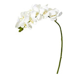 Orquídea Phalaenopsis Artificial De 21 Pulgadas (conju...
