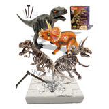 Kit De Excavación De Fósiles De Dinosaurio Kits De