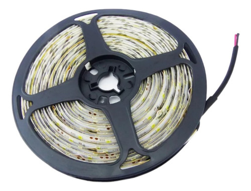 Rollo Led 24v 5m Luz Blanca En Bolsa