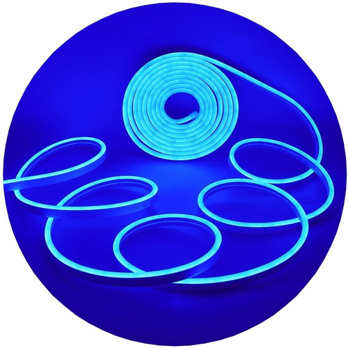 Tira Led 2835 Rollo 5 Metros Neon Flex Colores 12v Exterior Color De La Luz Azul