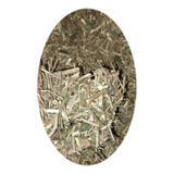 Té Moronel Orgánico Planta De La Vida 150gr