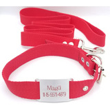 Combo Chapita Pasador 3cm + Collar Y Correa Rojo