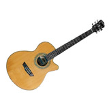 Guitarra Electroacustica Washburn Ea15 - Envios