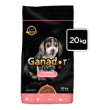 Alimento Ganador Premium Para Perro Cachorro 