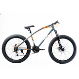 Bici Fat Rod 26 Shimano 21 Vel Mtb Brave Boy Acero Discos Color Gris Oscuro