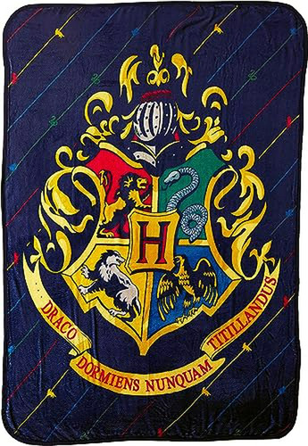 Manta De Micro Raschel Harry Potter, 46  X 60 , Casa Rayas