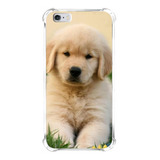 Capinha De Celular Compatível Modelos Golden Retriever 02