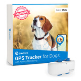 Rastreador Gps Y Monitoreo De Salud Para Perros Tractive Whi