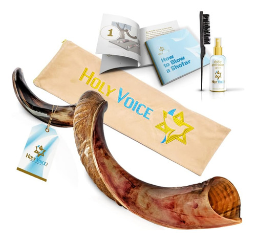 Cuerno Kosher Kudu Shofar De Israel  Shofar Tradicional Med