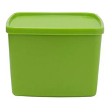 Jeitoso Tupperware Pote Congelador 800ml - Verde