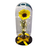 Girasol Eterno Premium Con Luz Led Capelo Bala.