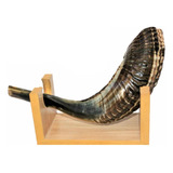 Shofar Chifre De Carneiro De Tocar - De Israel 40-44 Cm