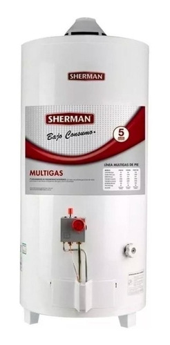 Termotanque Sherman (rheem) 50 Litros Pie Multigas Superior