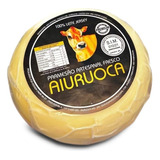 Queijo Parmesão Artesanal Fresco Premiado Leite Jersey 550g