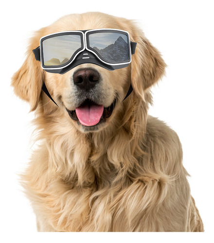 Gafas De Sol Para Perros De Razas Medianas Y Grandes Con Pro